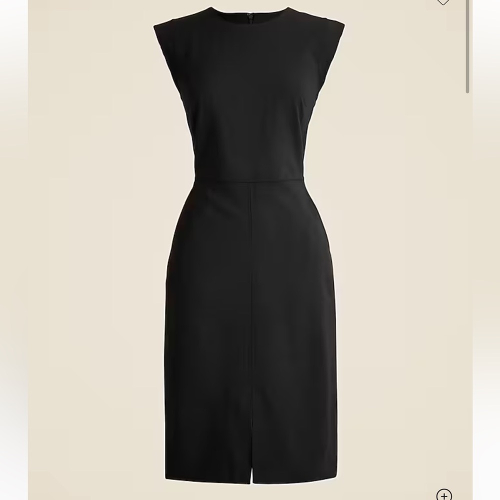 J. Crew New Resume Dress